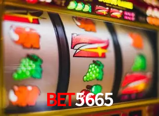 A Experiência Imersiva dos Cassinos Ao Vivo no bet5665